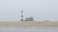 0650 Walvis Bay - Fahrt mit dem Katamaran - Leuchtturm