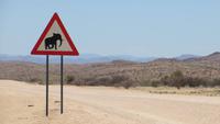 0736 Fahrt durch das Damaraland - Hinweisschild auf Wüstenelefanten