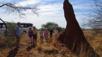 0796 Fahrt nach Opuwo - Am Termittenhügel