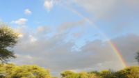 1433 Otjibamba Lodge - Regenbogen