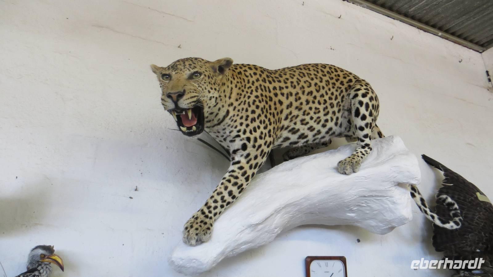 1520 Tierpräperations-Firma