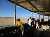 Tierbeobachtung bei Aus