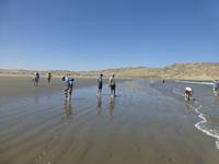Strandspaziergang in Lüderitz