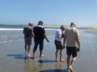 Strandspaziergang in Lüderitz