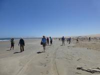 Strandspaziergang in Lüderitz