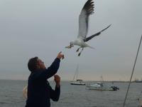 Guide Marco füttert Möwen
