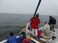 Bootsfahrt bei Swakopmund