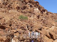 Besichtigung der Felsmalereien bei Twyfelfontein