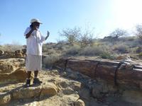 Damarafrau Susana im versteinerten Wald