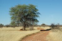 6-Nature Drive