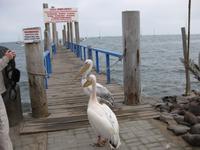 Wir bewachen den Landungssteg