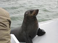 Besuch auf dem  Catamaran