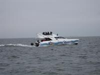 Wir sind nicht allein ...