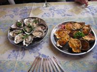 Hmm lecker - Austern fÜr Feinschmecker und AnfÃ€nger