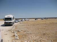 Besucher des Etosha Parks am Wasserloch
