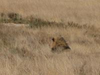 Hallo - dreh Dich mal um!