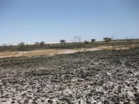 Auch im Etosha-Nationalpark brennt es