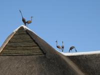 ... auf den DÃ€chern der 