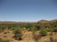Auf der Fahrt nach Windhoek