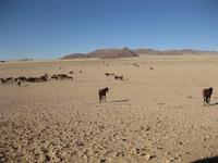 Die unendliche Weite