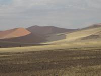 Die DÜnen am Morgen