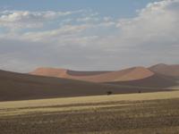 Die DÜnen am Morgen