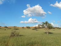 Game Drive Auob Lodge