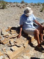 Fossilien im Mesosaurus Camp