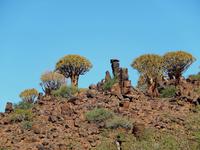 Köcherbaumwald und Giant's Playground