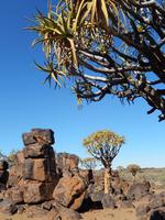 Köcherbaumwald und Giant's Playground