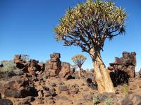 Köcherbaumwald und Giant's Playground