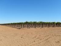 Landwirtschaft Namibia