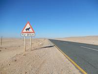 Vorsicht Wüstenfuchs!