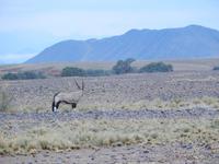 Namib Naukluft Nationalpark