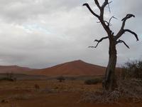Sossusvlei
