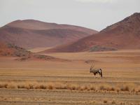 Sossusvlei