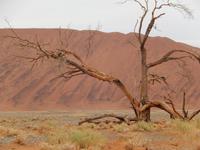 Sossusvlei