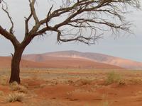 Sossusvlei