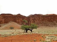 Sundownerfahrt Namib Desert Lodge