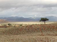 Sundownerfahrt Namib Desert Lodge