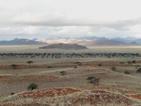 Sundownerfahrt Namib Desert Lodge