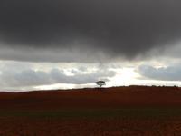 Sundownerfahrt Namib Desert Lodge