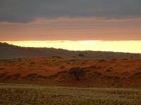 Sonnenuntergang Namib Desert Lodge