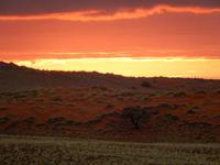 Sonnenuntergang Namib Desert Lodge