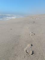 Skelettküste Namibia