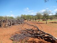 im Himba Dorf