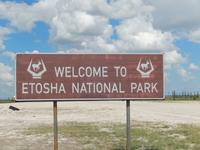 Willkommen im Etosha Nationalpark