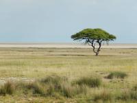 Etosha Nationalpark