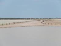 Etosha Nationalpark, Etosha Lookout