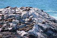 Lüderitz - Diazkreuz